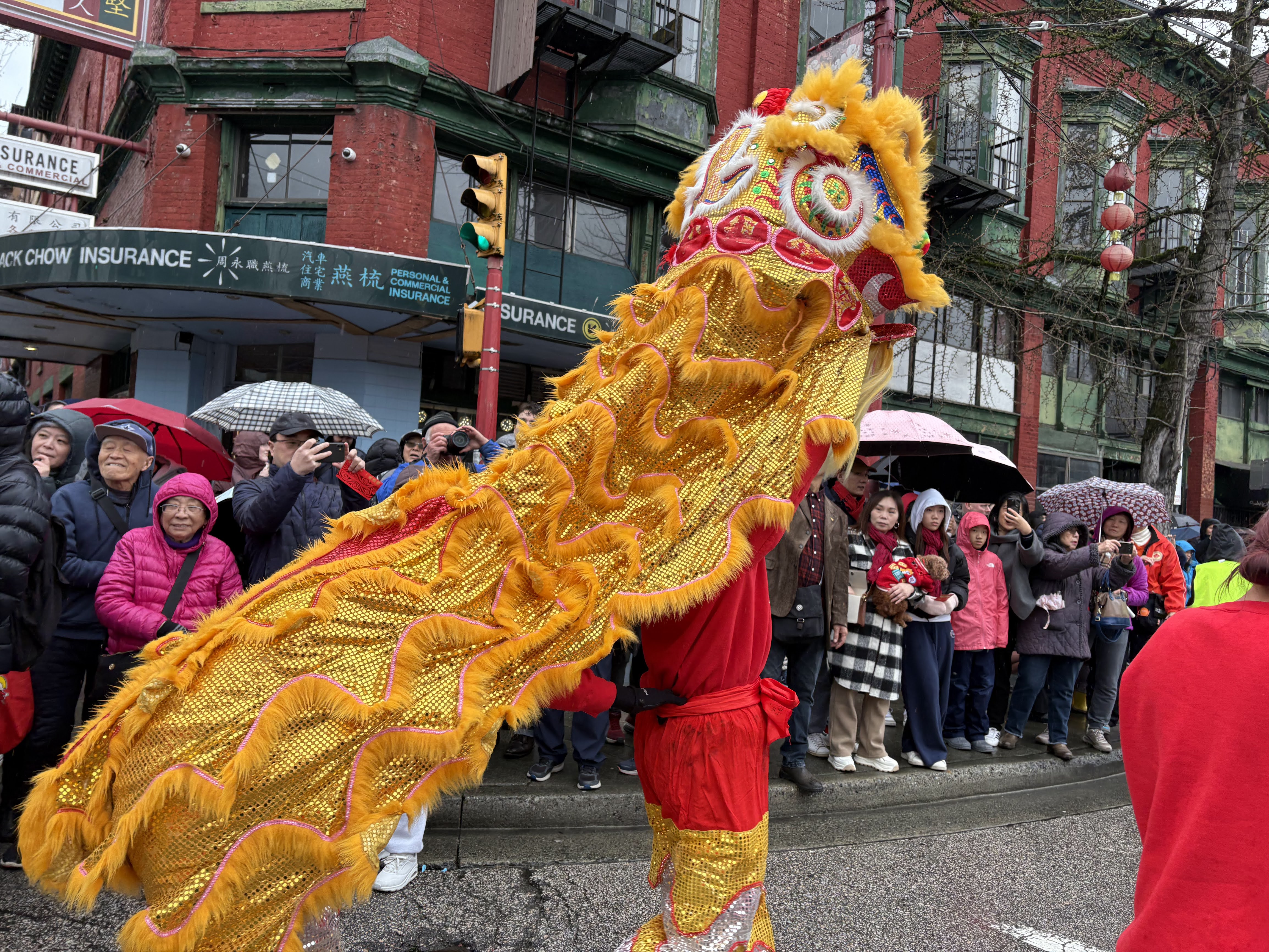Lion dance performer's detailed costume footwork mid-routine
